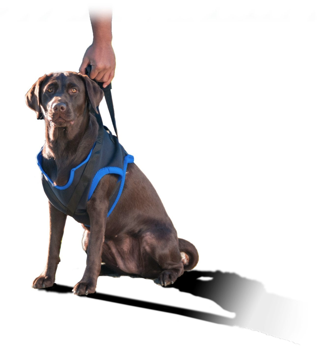 Walkabout Front Harness (Xlarge 33-42''